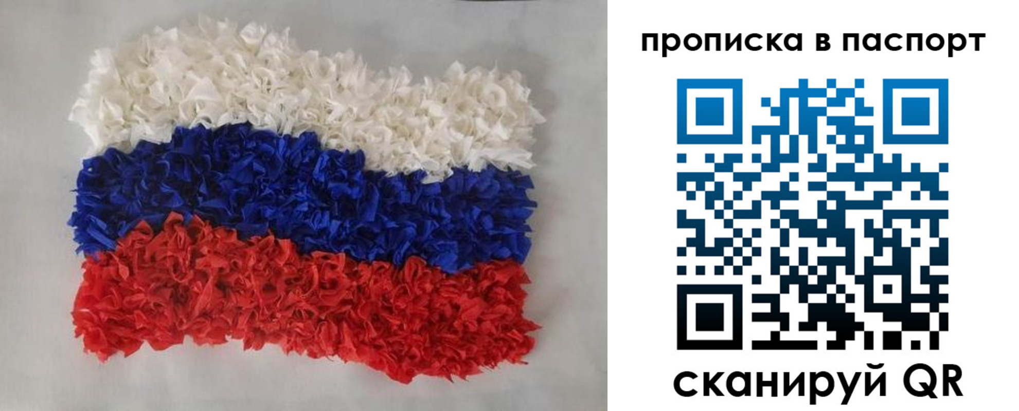 прописка в Новгородской области